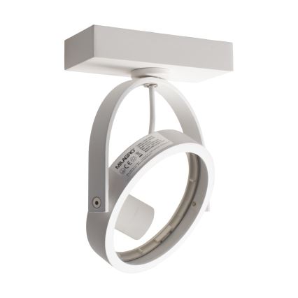 Προβολέας τοίχου LUGAR 1xAR111 - GU10/25W/230V