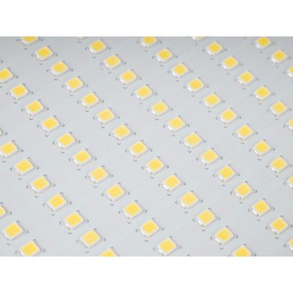 Προβολέας εξωτερικού χώρου LED STAR LED/150W/230V IP65 5000K