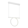 Πολύφωτο LED σε σχοινί LOOP LED/20W/230V λευκό