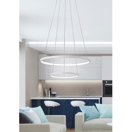 Πολύφωτο LED σε σχοινί LUNE LED/40W/230V