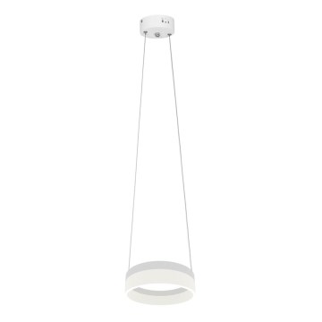 Πολύφωτο LED σε σχοινί RING LED/12W/230V