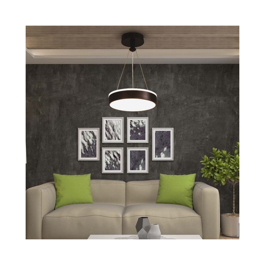 Πολύφωτο LED με συρματόσχοινο LED/12W/230V 4000K μαύρο