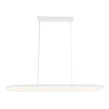 Πολύφωτο LED με συρματόσχοινο LED/24W/230V 4000K λευκό