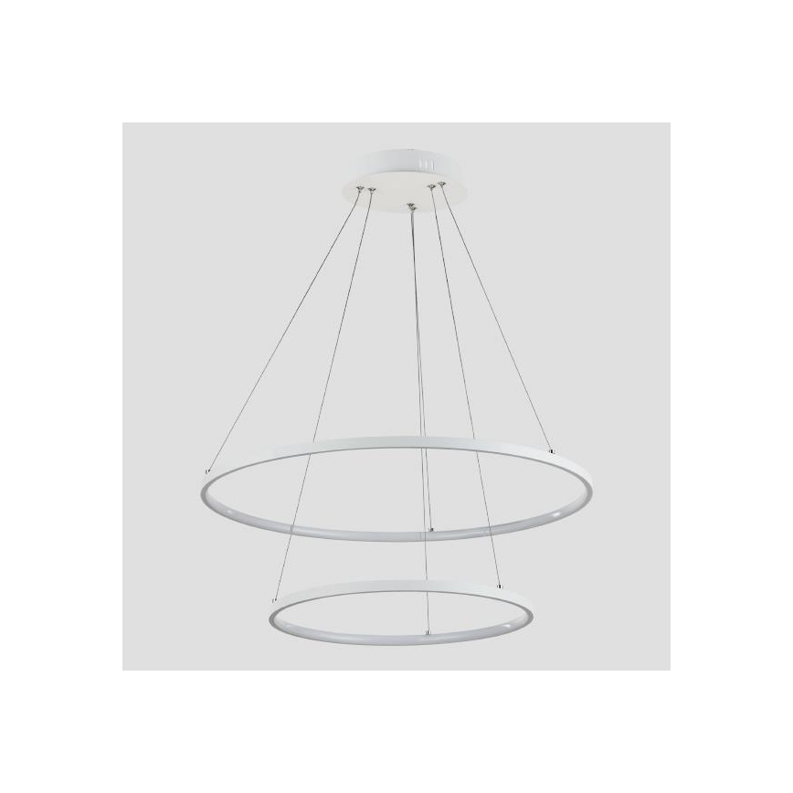 Πολύφωτο LED με συρματόσχοινο LED/37W/230V 3000K λευκό