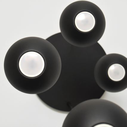 Πολύφωτο LED με συρματόσχοινο MIDWAY 4xGU10/4,8W/230V μαύρο