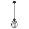 Πολύφωτο σε σχοινί BRYLANT BLACK 1xE27/60W/230V
