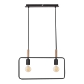 Πολύφωτο σε σχοινί FRAME 2xE27/60W/230V μαύρο