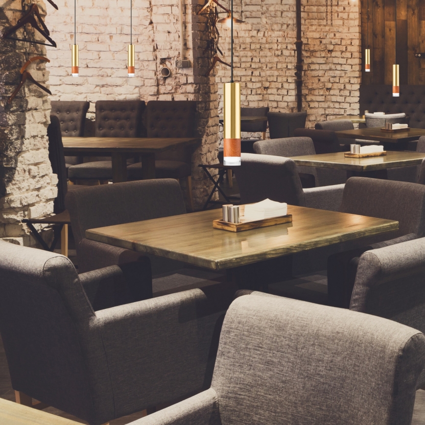 Πολύφωτο με συρματόσχοινο AURELIA 1xGU10/10W/230V