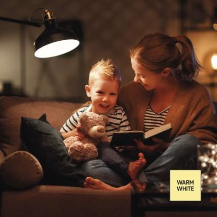 Ρυθμιζόμενη λάμπα LED A60 E27/10,5W/230V 2700K