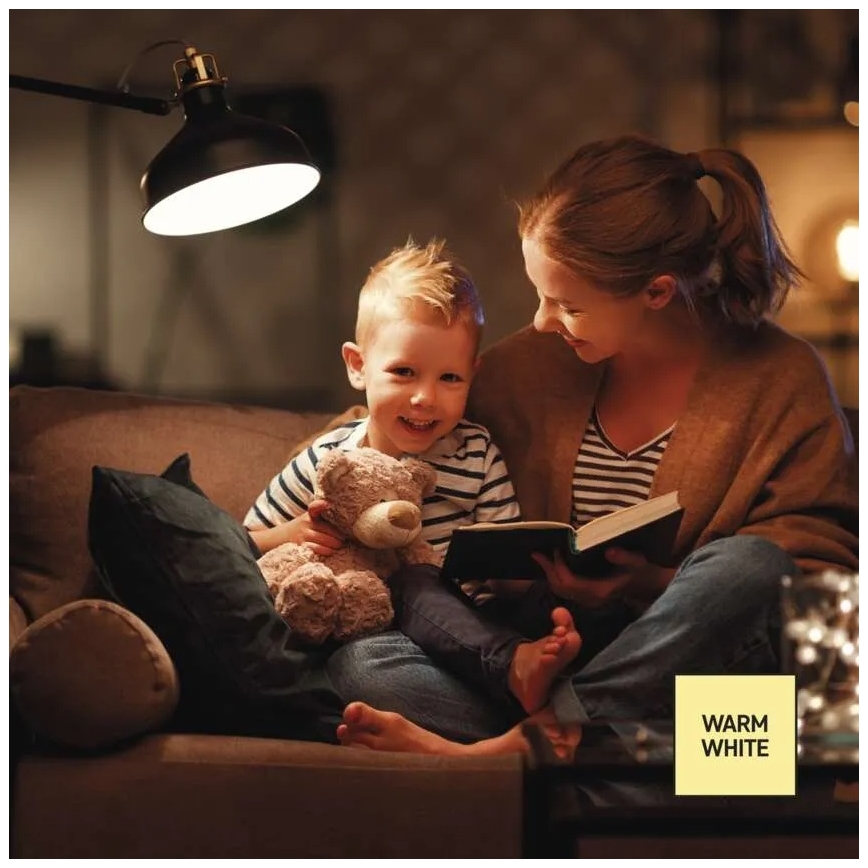 Ρυθμιζόμενη λάμπα LED A60 E27/10,5W/230V 2700K