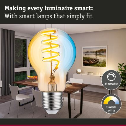 Ρυθμιζόμενη λάμπα LED FILAMENT E27/7,5W/230V 2200-5500K - Paulmann 29155
