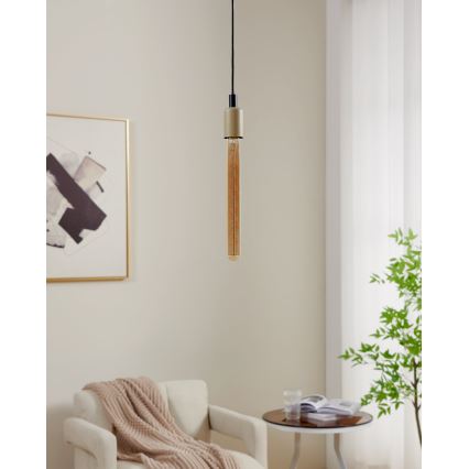 Ρυθμιζόμενη LED λάμπα VINTAGE T30 E27/4W/230V 1600K - Eglo 110297