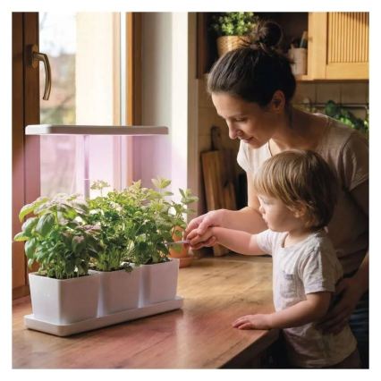 Ρυθμιζόμενη LED εσωτερική λάμπα για καλλιέργεια φυτών GROW LED/7W/5V