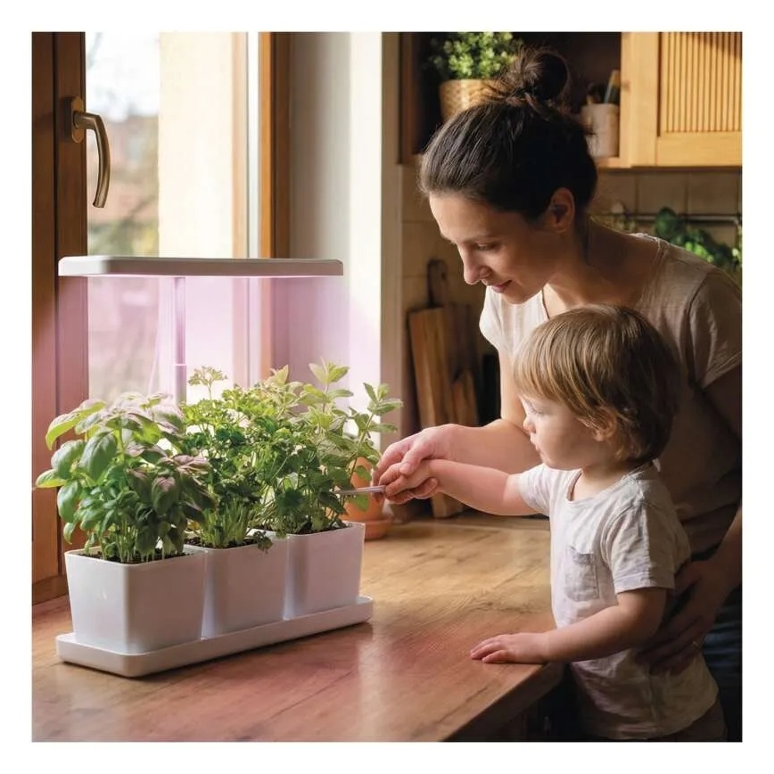 Ρυθμιζόμενη LED εσωτερική λάμπα για καλλιέργεια φυτών GROW LED/7W/5V