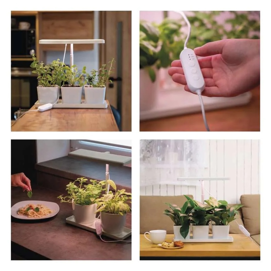 Ρυθμιζόμενη LED εσωτερική λάμπα για καλλιέργεια φυτών GROW LED/7W/5V