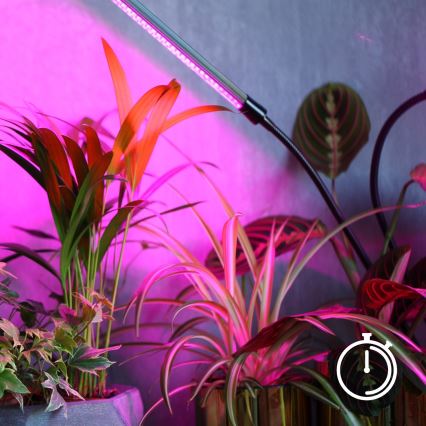 LED ρυθμιζόμενο εύκαμπτο επιτραπέζιο φωτιστικό για την καλλιέργεια φυτών VITARO 4xLED/10W/230V μαύρο