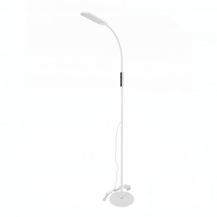 LED Ρυθμιζόμενη επιδαπέδια λάμπα TEILO LED/10W/230V 3000/4000/6500K λευκή + τηλεχειριστήριο