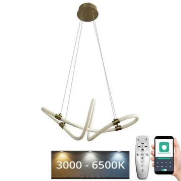 Ρυθμιζόμενο φωτιστικό LED με καλώδιο LED/25W/230V 3000-6500K + τηλεχειριστήριο