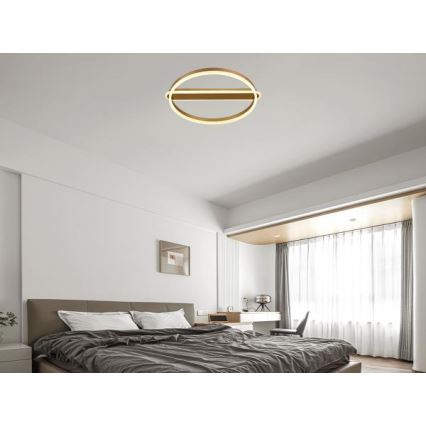 Ρυθμιζόμενο φωτιστικό οροφής LED/60W/230V 3000-6500K + τηλεχειριστήριο
