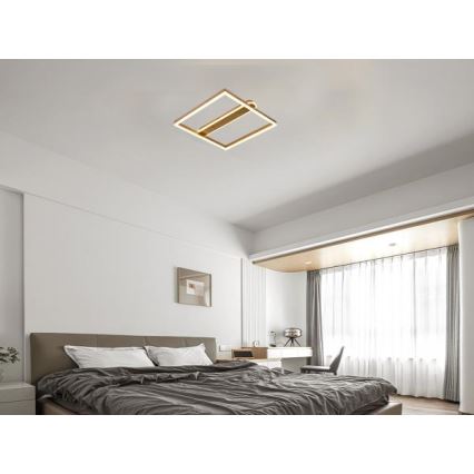 Ρυθμιζόμενο φωτιστικό οροφής LED/60W/230V 3000-6500K + τηλεχειριστήριο