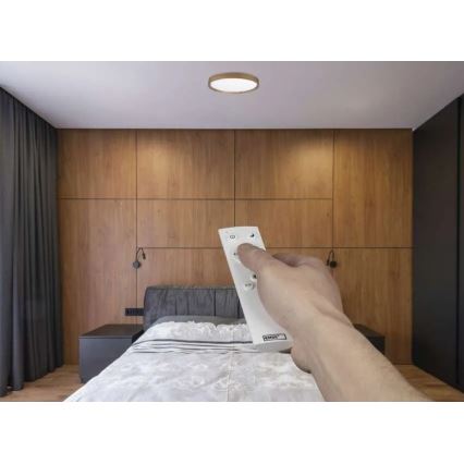 Ρυθμιζόμενο LED φωτιστικό οροφής ILVI LED/30W/230V 2700-6500K διάμ. 40 cm σε απομίμηση ξύλου + τηλεχειριστήριο
