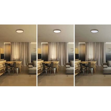 Ρυθμιζόμενο LED φωτιστικό οροφής ILVI LED/30W/230V 2700-6500K διάμ. 40 cm σε απομίμηση ξύλου + τηλεχειριστήριο