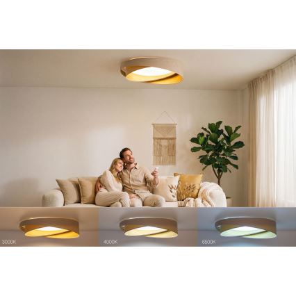 LED Ρυθμιζόμενο οροφής φωτιστικό SMART GALAXY MODERN LED/24W/230V 3000–6500K διάμ. 55 εκ. μπεζ/χρυσό + τηλεχειριστήριο