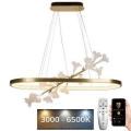 Ρυθμιζόμενο φωτιστικό οροφής LED με καλώδιο LED/65W/230V 3000-6500K + τηλεχειριστήριο