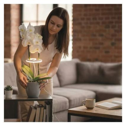 Ρυθμιζόμενο LED φωτιστικό εσωτερικού χώρου για καλλιέργεια φυτών GROW LED/8W/5V