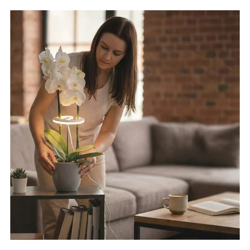 Ρυθμιζόμενο LED φωτιστικό εσωτερικού χώρου για καλλιέργεια φυτών GROW LED/8W/5V