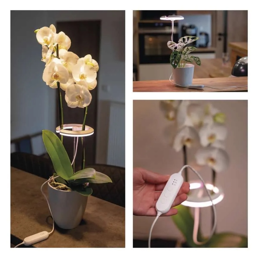 Ρυθμιζόμενο LED φωτιστικό εσωτερικού χώρου για καλλιέργεια φυτών GROW LED/8W/5V