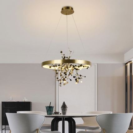 Ρυθμιζόμενο LED φωτιστικό οροφής με καλώδιο LED/40W/230V 3000-6500K χρυσό + τηλεχειριστήριο