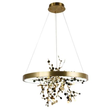 Ρυθμιζόμενο LED φωτιστικό οροφής με καλώδιο LED/40W/230V 3000-6500K χρυσό + τηλεχειριστήριο