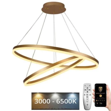 Ρυθμιζόμενο LED φωτιστικό οροφής με καλώδιο LED/100W/230V 3000-6500K διάμ. 80 εκ. + τηλεχειριστήριο