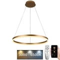 Ρυθμιζόμενο LED φωτιστικό οροφής με καλώδιο LED/42W/230V 3000-6500K διάμετρος 60 εκ. + τηλεχειριστήριο