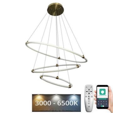 Ρυθμιζόμενο LED φωτιστικό οροφής με καλώδιο LED/45W/230V 3000-6500K διάμ. 80 εκ. + τηλεχειριστήριο