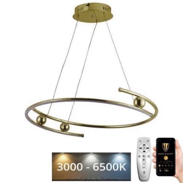 Ρυθμιζόμενο LED φωτιστικό οροφής με καλώδιο LED/50W/230V 3000-6500K διάμετρος 60 εκ. + τηλεχειριστήριο