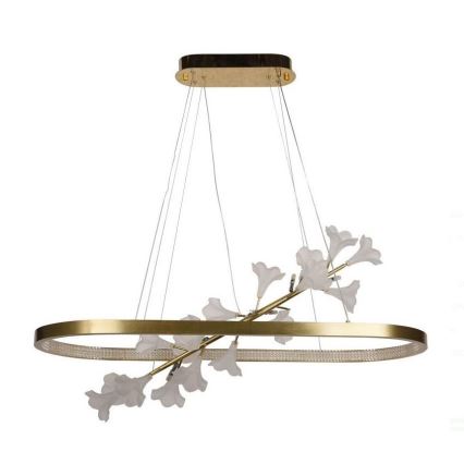 Ρυθμιζόμενο LED φωτιστικό οροφής με καλώδιο LED/55W/230V 3000-6500K + τηλεχειριστήριο