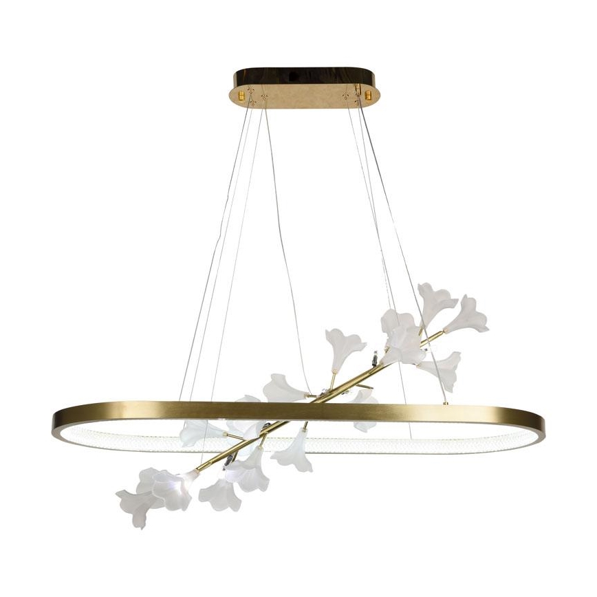 Ρυθμιζόμενο LED φωτιστικό οροφής με καλώδιο LED/55W/230V 3000-6500K + τηλεχειριστήριο