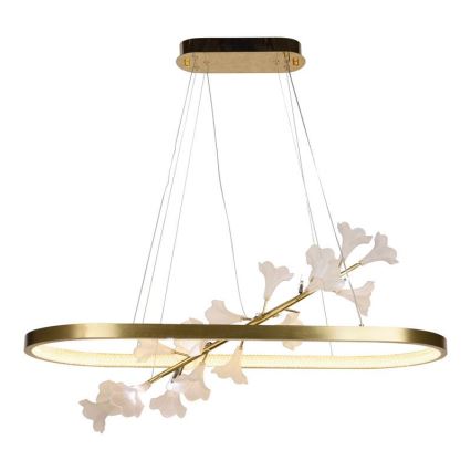 Ρυθμιζόμενο LED φωτιστικό οροφής με καλώδιο LED/55W/230V 3000-6500K + τηλεχειριστήριο