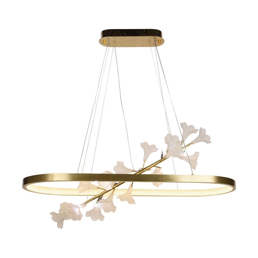 Ρυθμιζόμενο LED φωτιστικό οροφής με καλώδιο LED/55W/230V 3000-6500K + τηλεχειριστήριο