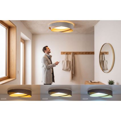 LED Ρυθμιζόμενο φωτιστικό οροφής SMART GALAXY MODERN LED/24W/230V 3000-6500K Ø 55 cm γκρι/μπεζ/χρυσό + τηλεχειριστήριο