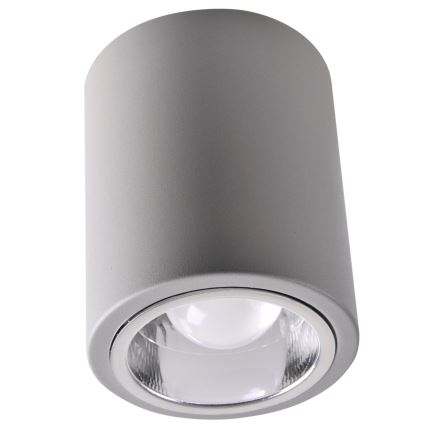 LED RGBW Ρυθμιζόμενο σημειακό φωτιστικό JUPITER 1xE27/6,5W/230V 2700-6500K Wi-Fi Ø 9,8 cm γκρι