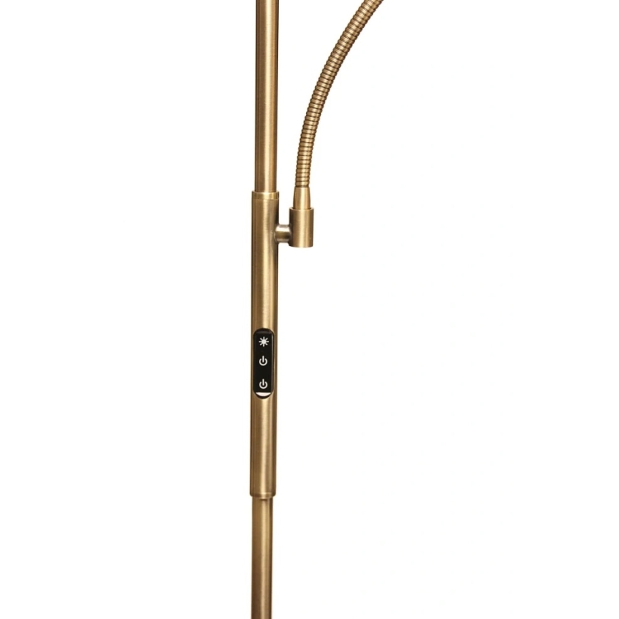 LED Ρυθμιζόμενο επιδαπέδιο φωτιστικό NORA LED/25W/230V 2200/3000/4000K + LED/5W 3000K χρυσό + τηλεχειριστήριο