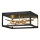Quintiesse - Φωτιστικό οροφής LED STYX LED/8W/230V μαύρο/χρυσό