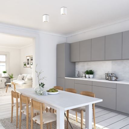 Rabalux - Φωτιστικό σποτ 1xGU10/42W/230V λευκό