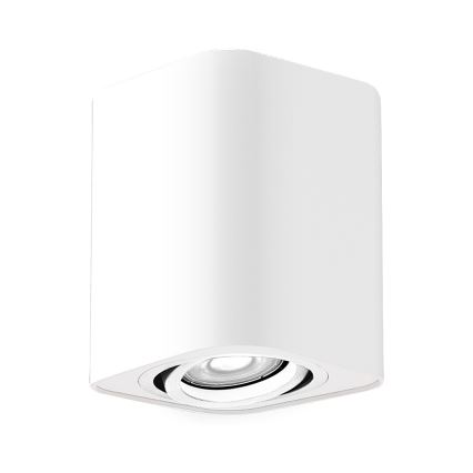 Rabalux - Φωτιστικό σποτ 1xGU10/42W/230V λευκό