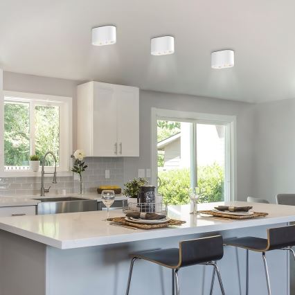 Rabalux - Φωτιστικό σποτ 2xGU10/42W/230V λευκό