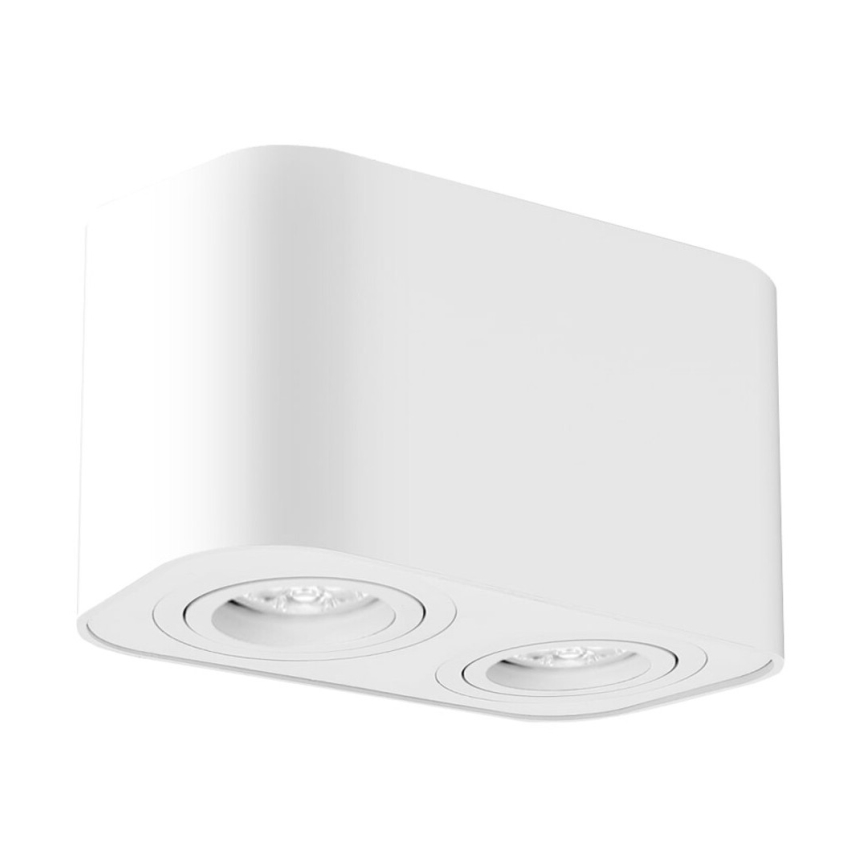 Rabalux - Φωτιστικό σποτ 2xGU10/42W/230V λευκό
