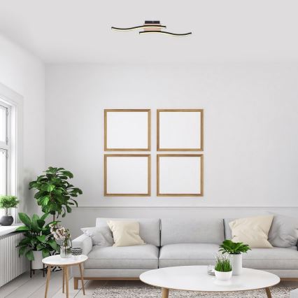 Rabalux - LED Πλαφονιέρα οροφής 2xLED/12W/230V